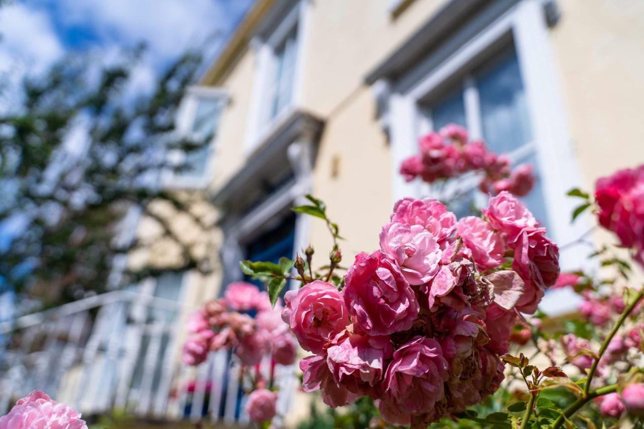 Ferry House Bed & Breakfast Дун-Лэаре Экстерьер фото